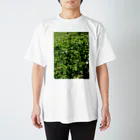 涅槃ねこの草 スタンダードTシャツ