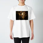 neko_00_nekoの灯 Regular Fit T-Shirt
