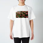 薔薇屋の群れ薔薇 スタンダードTシャツ