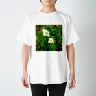 asako=niagaraの植物図鑑 ハクサンイチゲ スタンダードTシャツ