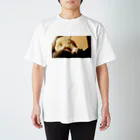 海砂のネコキック Regular Fit T-Shirt