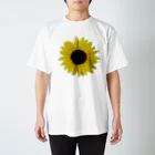 花水のひまわり！ スタンダードTシャツ