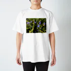 淡路島の風景のプンタレッラ  Regular Fit T-Shirt