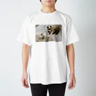 warabi_sumireのラグドールのわらびとヒマラヤンのすみれ Regular Fit T-Shirt