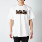 cocoam.dogの日曜の犬 スタンダードTシャツ