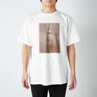 フォーヴァの鳥1－taisteal－タシテル－ Regular Fit T-Shirt