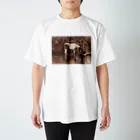 フォーヴァの馬2－taisteal－タシテル－ Regular Fit T-Shirt