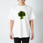 tasuq_qのぶろっこりー Regular Fit T-Shirt