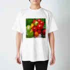 burihanaの地中海トマト スタンダードTシャツ