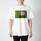 Secret Gardenのrenge スタンダードTシャツ