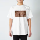 フォーヴァの北アイルランド2－taisteal－タシテル－ Regular Fit T-Shirt