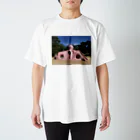 〇の公園のたこ スタンダードTシャツ