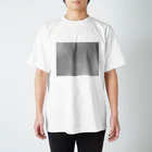 光景（仮）のひこうき曇（モノ） Regular Fit T-Shirt