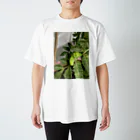 zakkaya 雑貨屋 孵 kaeruのナミアゲハのイモ虫さん Regular Fit T-Shirt