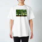 photo-kiokuの夏の木陰 スタンダードTシャツ