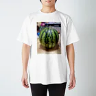 aのすいか Regular Fit T-Shirt