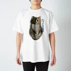 フミフミの三毛猫さん スタンダードTシャツ