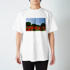 Toshiaki Sakuraiのポピー畑 スタンダードTシャツ