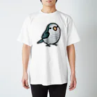 Cody the LovebirdのChubby Bird オキナインコ スタンダードTシャツ