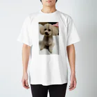 NogizakaのDog プードル スタンダードTシャツ