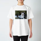 jlkのかいねこ Regular Fit T-Shirt