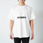 服と雑貨★ナイス屋の試用期間中 スタンダードTシャツ