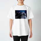 fragmentsのトルコの鳩 スタンダードTシャツ