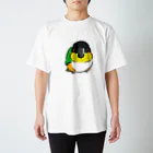 inkono shimobeのまんまるズグロシロハラインコ Regular Fit T-Shirt