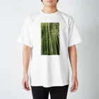 カラシダネ工房のイヤシテル？ Regular Fit T-Shirt