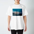 🐋最果てのおりん🥀🦭のaoshima2 スタンダードTシャツ