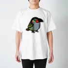 Cody the LovebirdのChubby Bird ニショクコチュウハシ Regular Fit T-Shirt