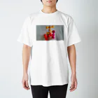 カラシダネ工房のイヤシテル？ Regular Fit T-Shirt