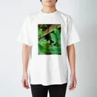 24capriceのシュレーゲルのアオガエル Regular Fit T-Shirt