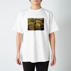 ひかるのryoku Regular Fit T-Shirt