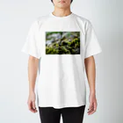 ﾛｯﾄﾓｰﾝﾄの苔むした スタンダードTシャツ