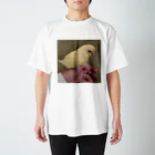 landscapeのみーすけちゃん Regular Fit T-Shirt