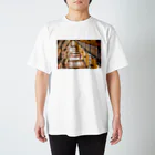 うみ☺︎🇻🇳のカオダイ教のTシャツ Regular Fit T-Shirt