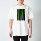 >>>>> Abstractive SERIES <<<<<のbosquet Regular Fit T-Shirt