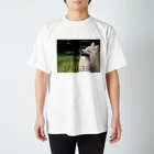 KANONのしらす Regular Fit T-Shirt