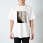 DesignReiのVanish Like Smoke スタンダードTシャツ