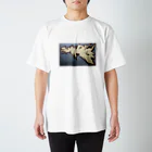 ymtdsk shopのother side2 スタンダードTシャツ