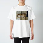 聞く耳ねこのお店のこぎまる Regular Fit T-Shirt