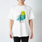 kadoBIRDの水彩セキセイ スタンダードTシャツ