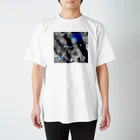 manulnuma131のA sly wink paradox Regular Fit T-Shirt