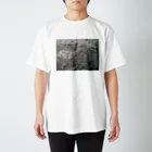 ハヤクモの海　0401　14:17 Regular Fit T-Shirt