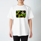 抹茶きな子の抹茶色のせかいの抹茶オレオマフィン Regular Fit T-Shirt