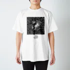 NAHO ISHII / 石井七歩のFEEL YOUR INNER CHAOS スタンダードTシャツ