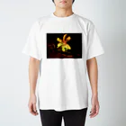 Y-Tの輝け花よ Regular Fit T-Shirt