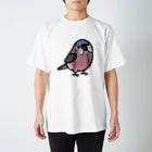 Cody the LovebirdのChubby Bird　アキクサインコ スタンダードTシャツ