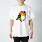 Cody the LovebirdのChubby Bird シロハラインコ スタンダードTシャツ